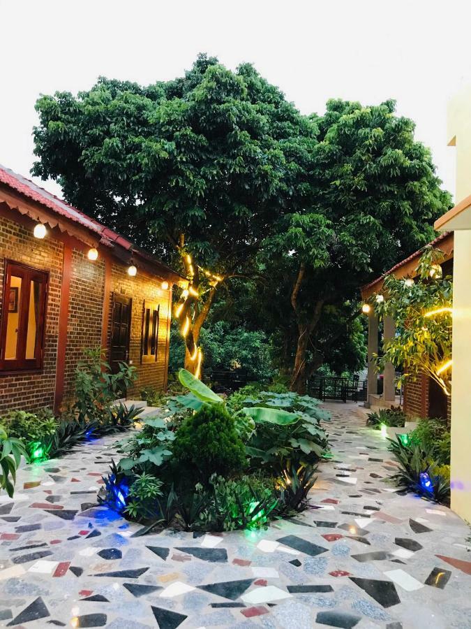 Tam Coc Thai Duong Homestay Ninh Binh Eksteriør billede